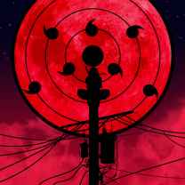 Haseeb ur Rahman