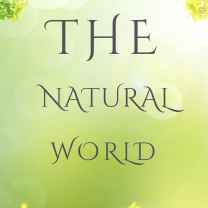 The Natural World 