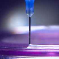 UV Curing Adhesive