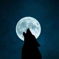 The Artisans journal