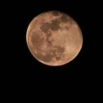 Beauty of the Universe