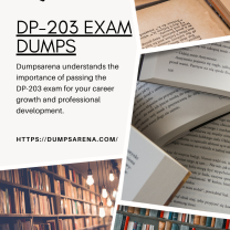 DP 203 dumps