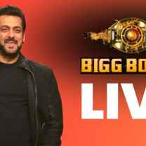 bigboss42
