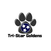 Tristar Goldens