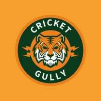 cricketgully