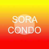 Sora