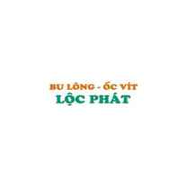 bulonglocphat