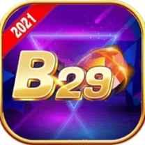 B29 Club Game