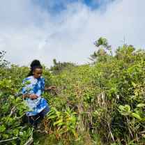 Finley Mathieu Rougé