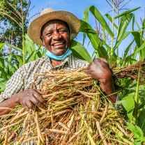 The Sustainable Seedling