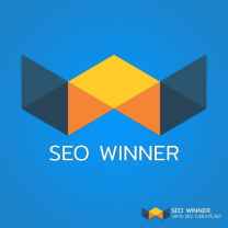 seowinnercom