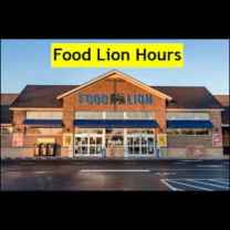 TalktoFoodL23