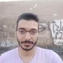 Abdallah Hassan EL-Sayed Abd-Aziz Torky