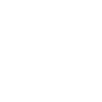 Zoro Anime
