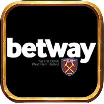 BETWAY LLC