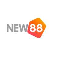 New881network