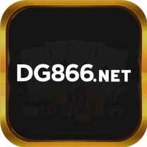 dg866net