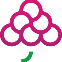 GrapesTech Solutions Pvt. Ltd.