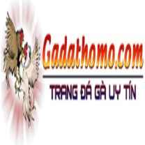 Đá gà Thomo