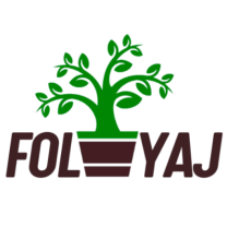 Foliyaj