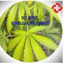 Marijuana Cards
