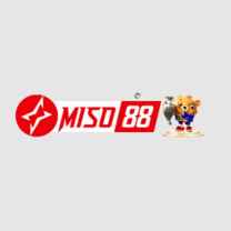 miso88  codes