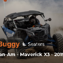 buggy andatv