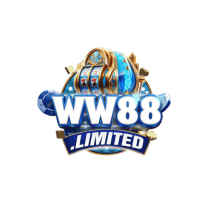 WW88 LIMITED