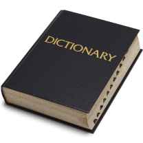 Mr. Dictionary 