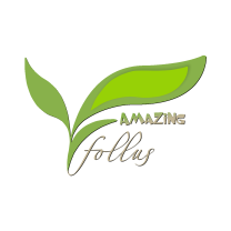 Follus Amazing