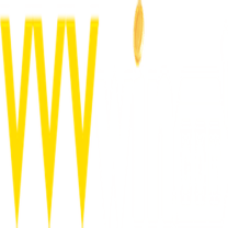 vvvwin world