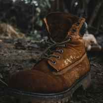 The footsteps of life