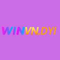 winvndiy