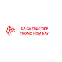 Đá Gà Trực Tiếp Thomo Hôm Nay