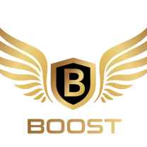 Boost Mobile Detailing