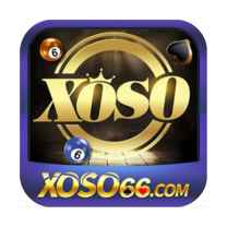 XS66