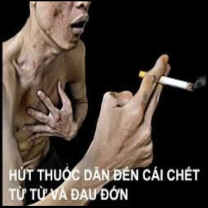 thuoclaaaaa