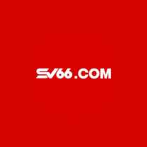 SV66 TEAMCOM
