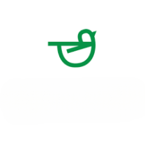 Domain Bird