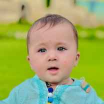 Ilyas ahmad
