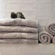 BD Terry Towel