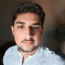 M HUSNAIN HANS