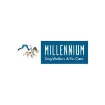 Millennium Dog Walkers & Pet Care in Chicago!