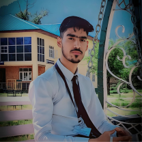 Mohammad Hussaib