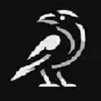 Website Raven