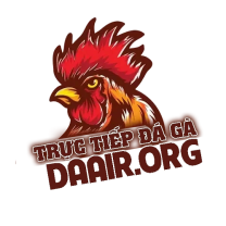 TRỰC TIẾP ĐÁ GÀ