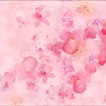 Shivika Bhattacharji