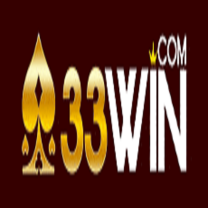 333win digital
