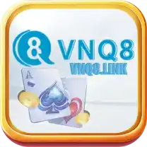 vnq8link