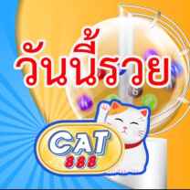 CAT888